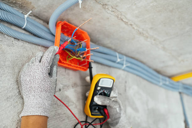 Best Electric Panel Repair  in Chesterfield, SC